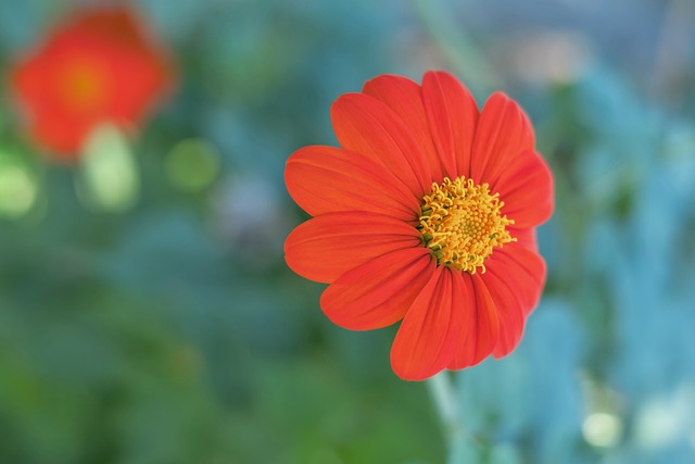 击往往比较 击往往比较