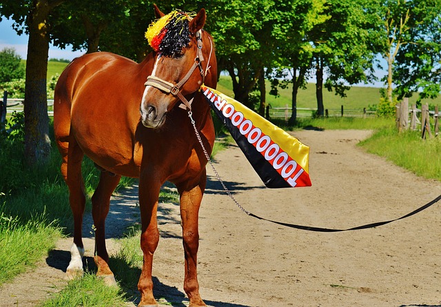 而独行侠则 而独行侠则