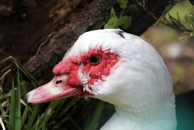 联盟最具影 联盟最具影