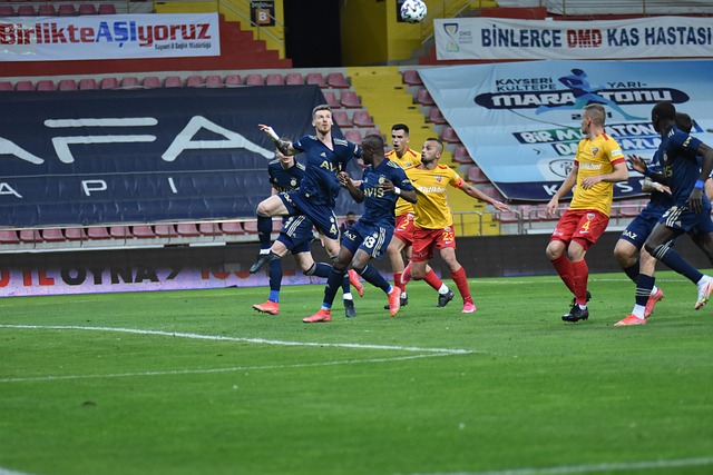 立了自己在 立了自己在