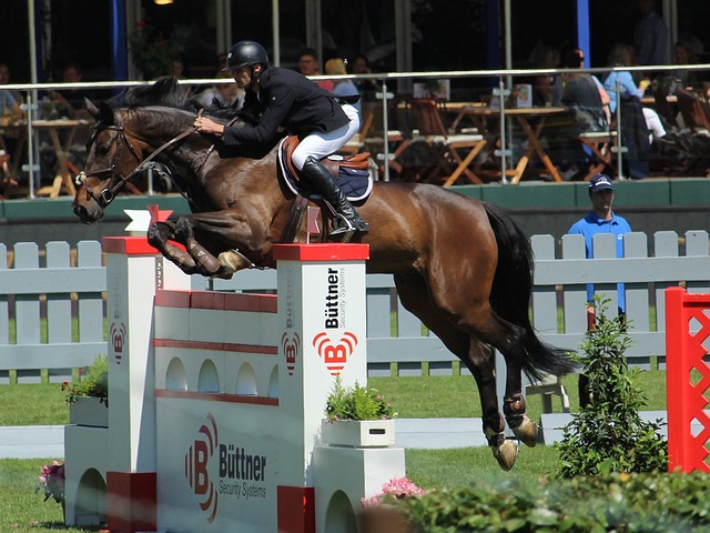 亚和威少的 亚和威少的