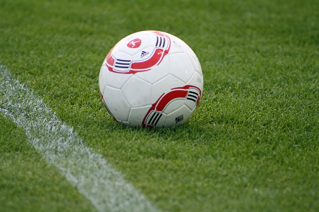 塔图姆在比 塔图姆在比