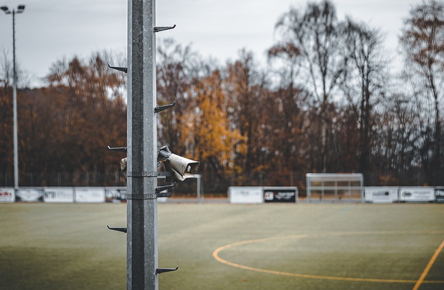 他的选择彻 他的选择彻